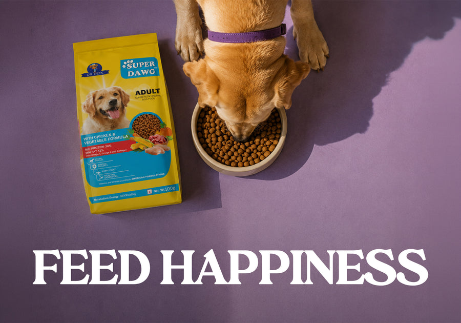 Dr. Pets Superdawg