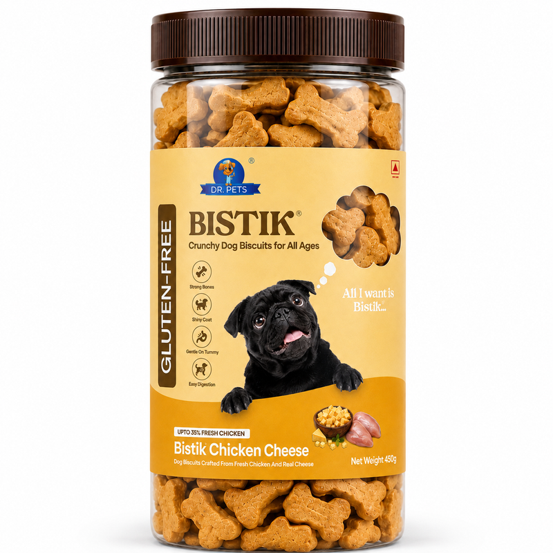 DR. PETS BISTIK BISCUIT WCH CHEESE