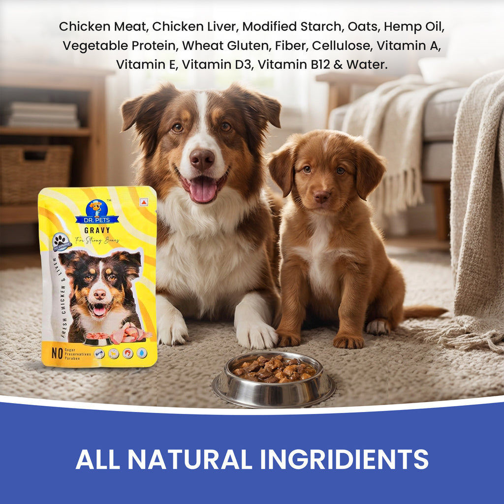DR. PETS CHUNKS & GRAVY FRESH CHICKEN & LIVER