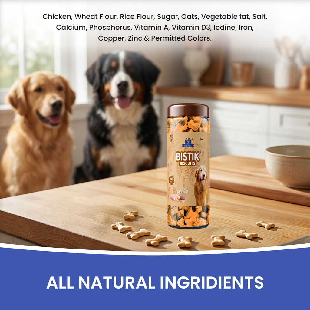 DR. PETS BISTIK BISCUIT WCH OATS