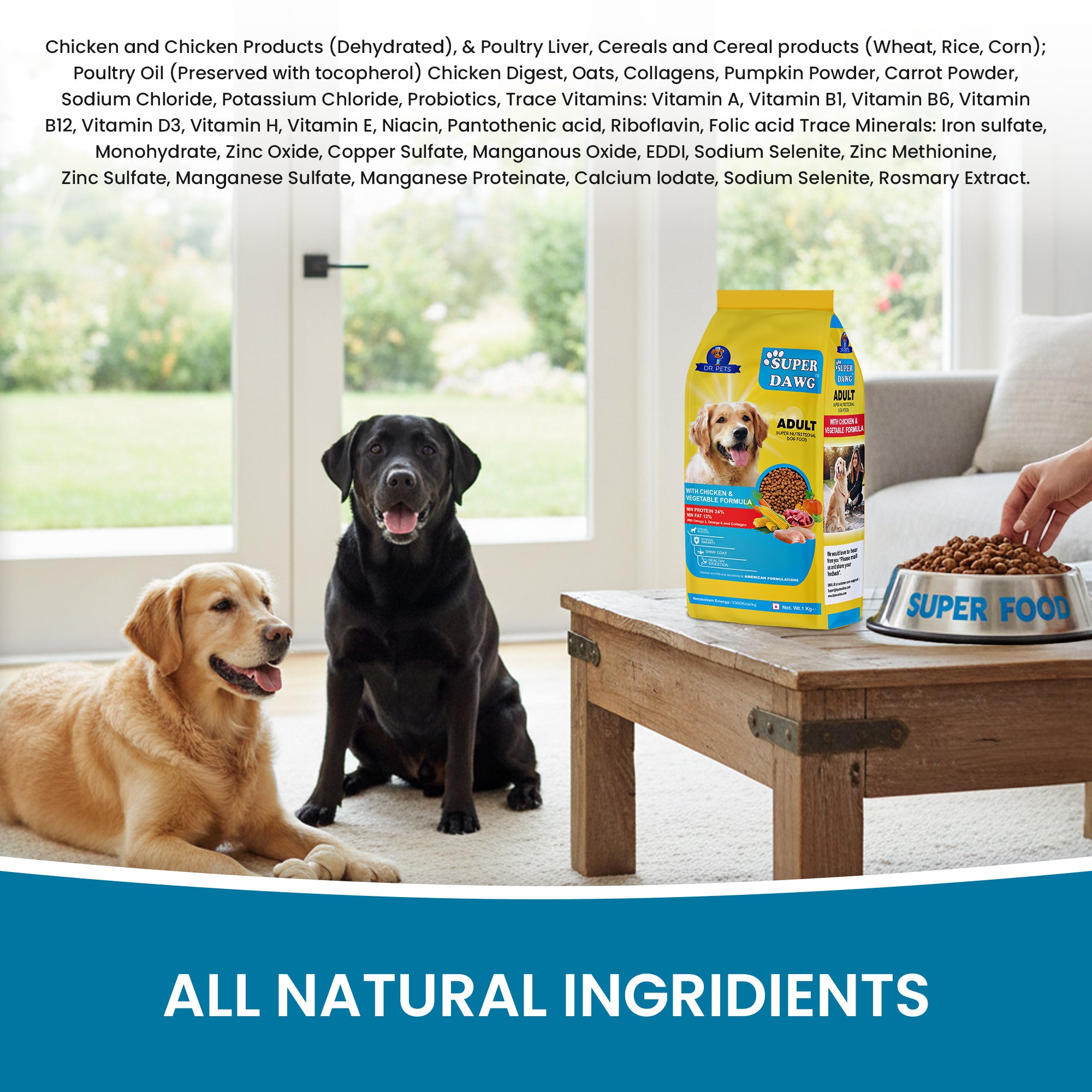 DR. PETS SUPERDAWG ADULT DOG FOOD