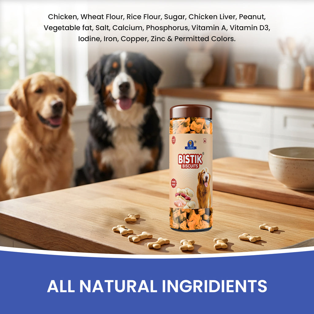 DR. PETS BISTIK BISCUIT WCH PEANUT