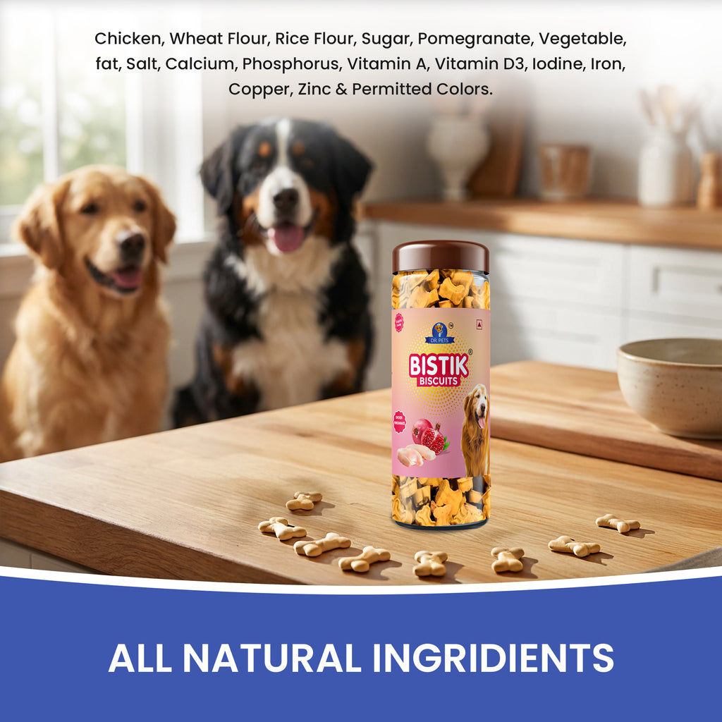 DR. PETS BISTIK BISCUIT WCH POMEGRANTE
