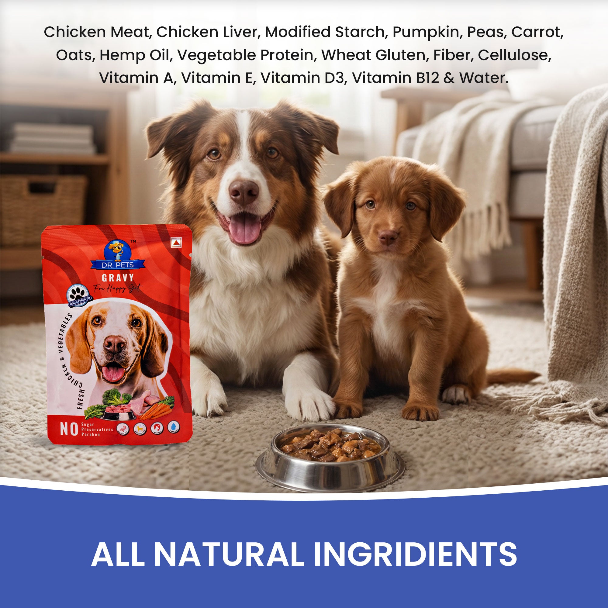 DR. PETS CHUNKS & GRAVY FRESH CHICKEN & VEGITABLE