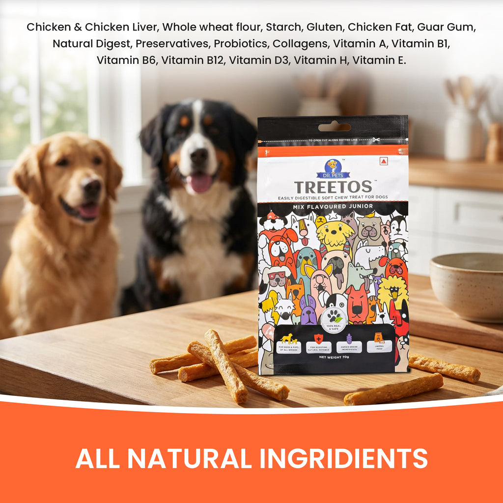 DR. PETS TREETOS MIX FLAVOUR