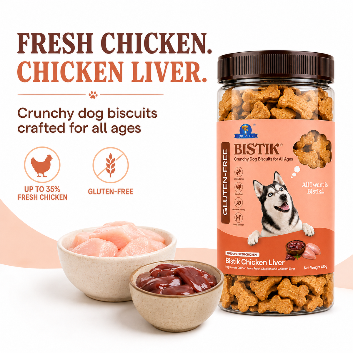 DR. PETS BISTIK BISCUIT CHICKEN LIVER