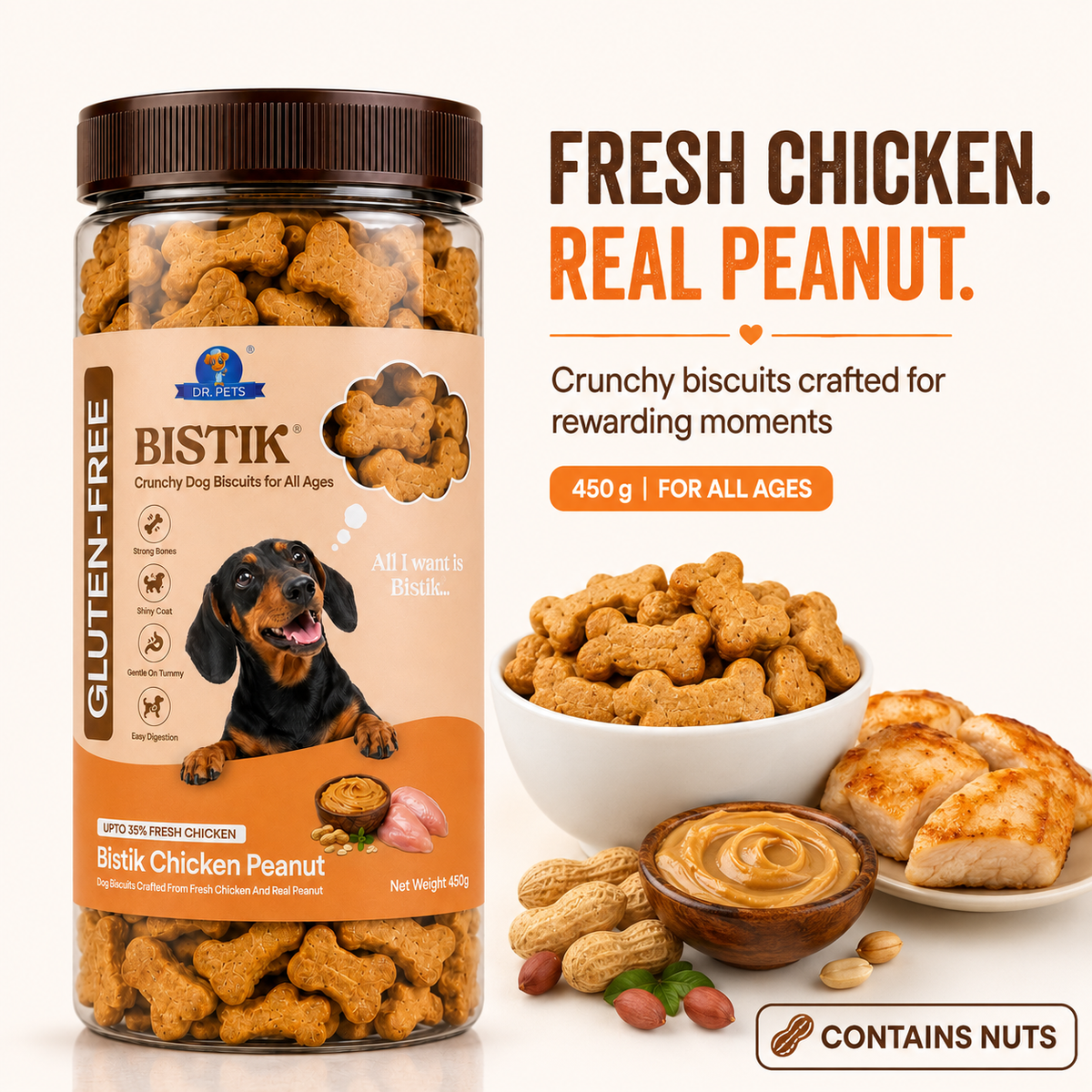 DR. PETS BISTIK BISCUIT CHICKEN PEANUT