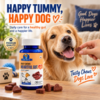 Dr. Pets Daily Chews Heartful Gut (Pack of 2)