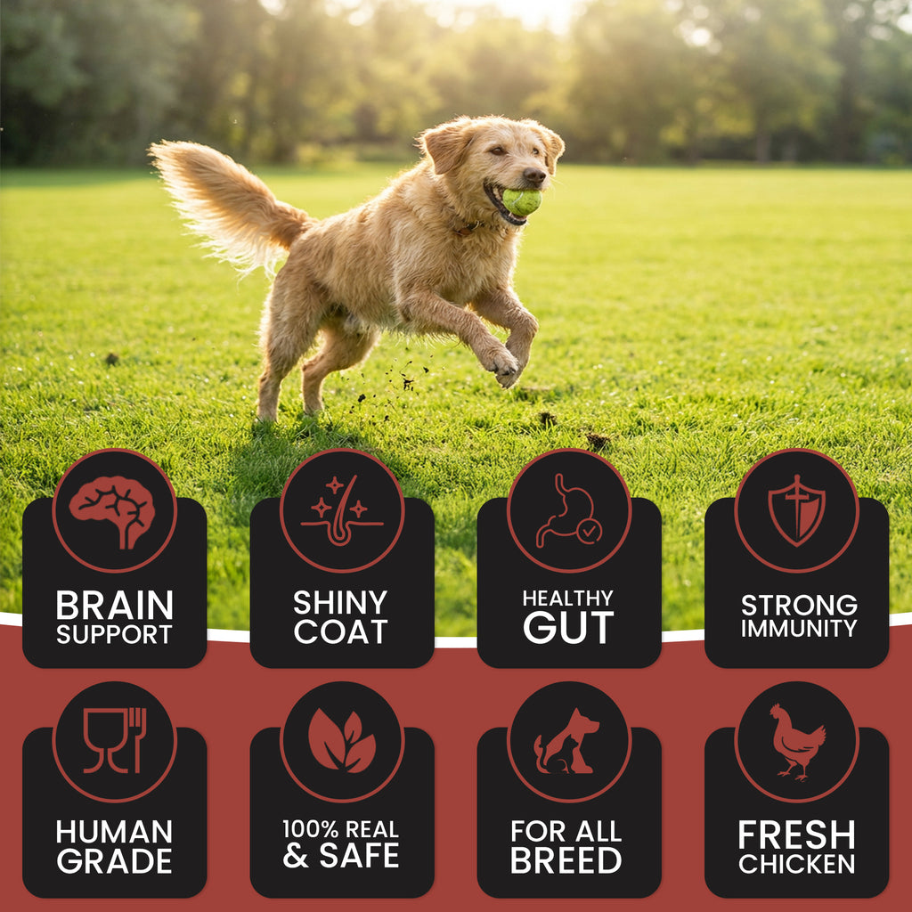 DR. PETS TREETOS CHICKEN LIVER