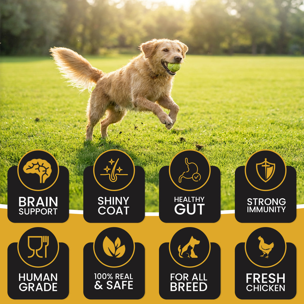 DR. PETS TREETOS BANANA OATS