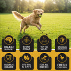 DR. PETS TREETOS BANANA OATS
