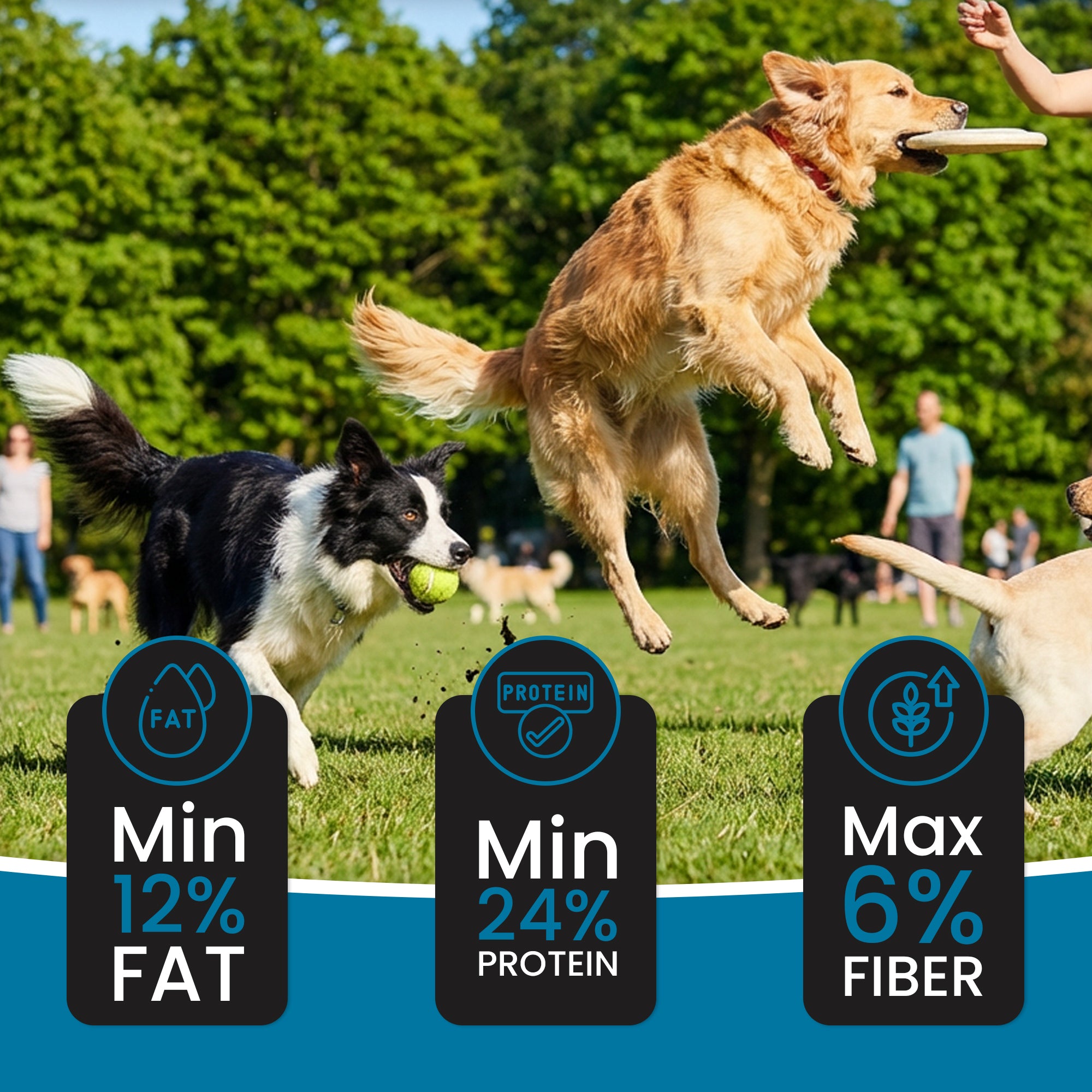 DR. PETS SUPERDAWG ADULT DOG FOOD
