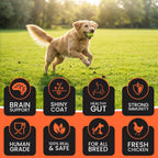 DR. PETS TREETOS MIX FLAVOUR