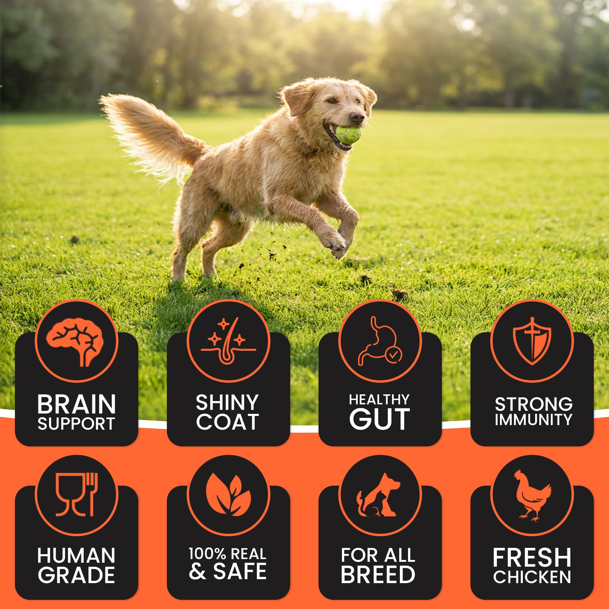 DR. PETS TREETOS MIX FLAVOUR