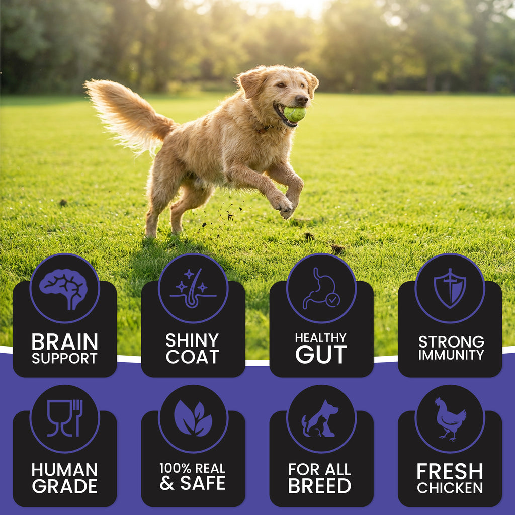 DR. PETS TREETOS BLUEBERRY BLAST