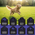 DR. PETS TREETOS BLUEBERRY BLAST
