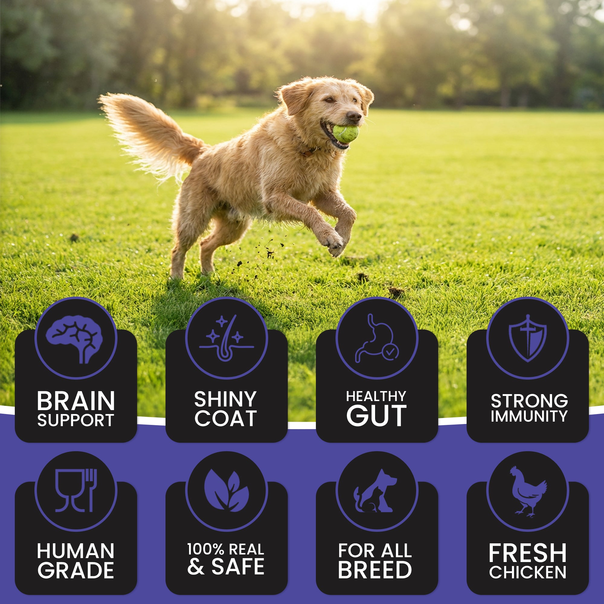 DR. PETS TREETOS BLUEBERRY BLAST