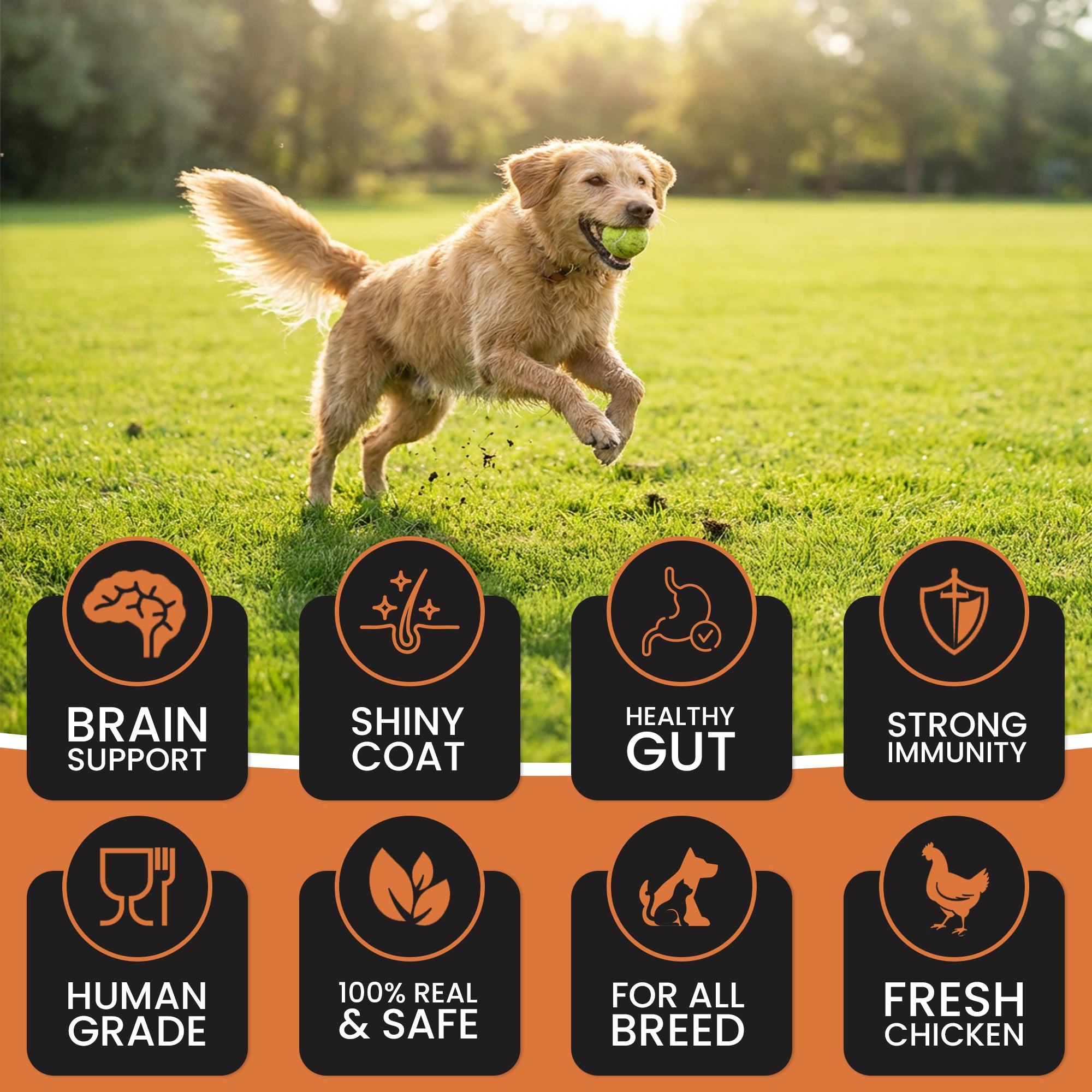 DR. PETS TREETOS PUMPKIN CARROT