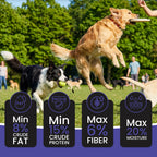 DR. PETS TREETOS BLUEBERRY BLAST