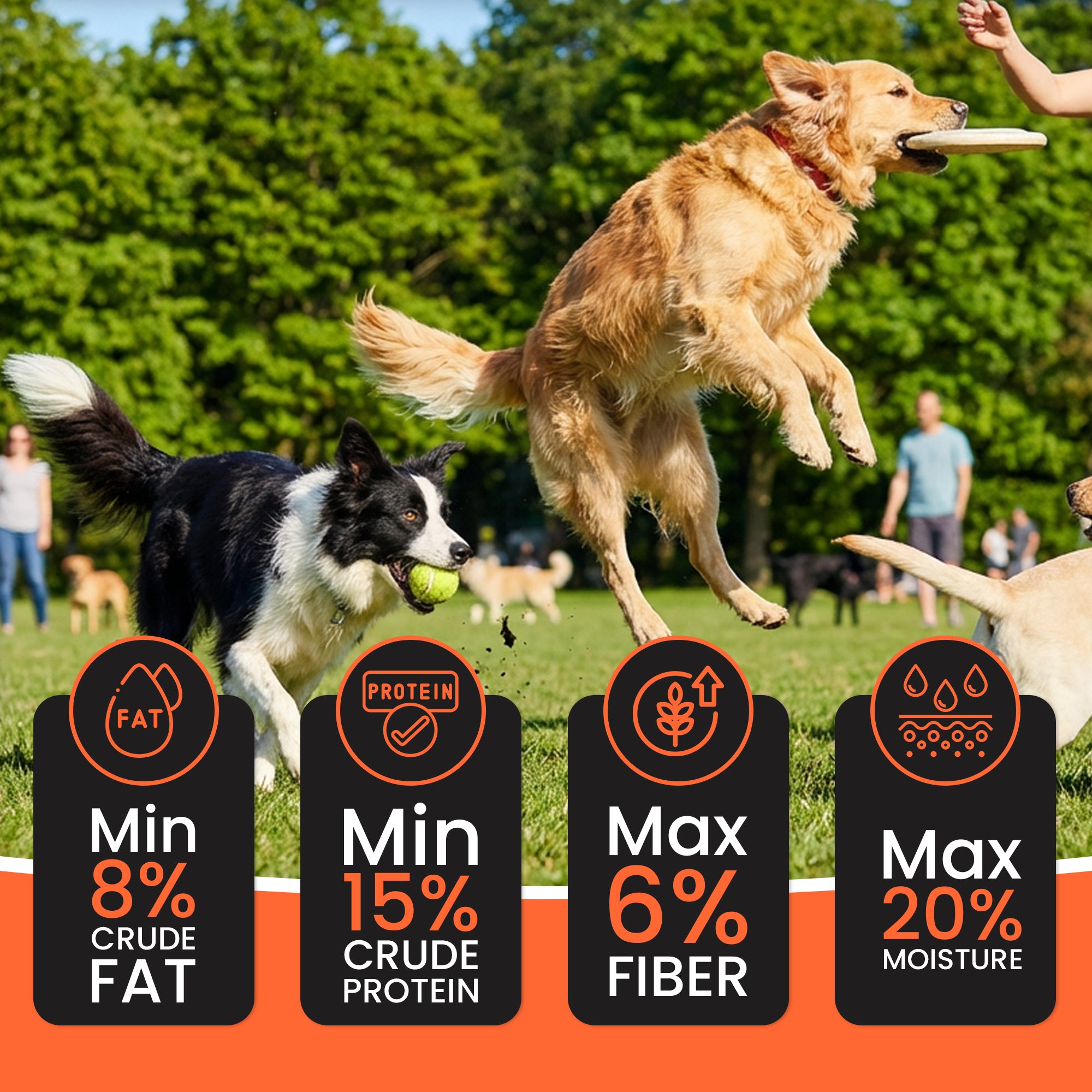 DR. PETS TREETOS MIX FLAVOUR