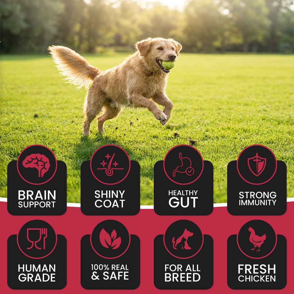 DR. PETS TREETOS CHICKEN POMEGRANATE