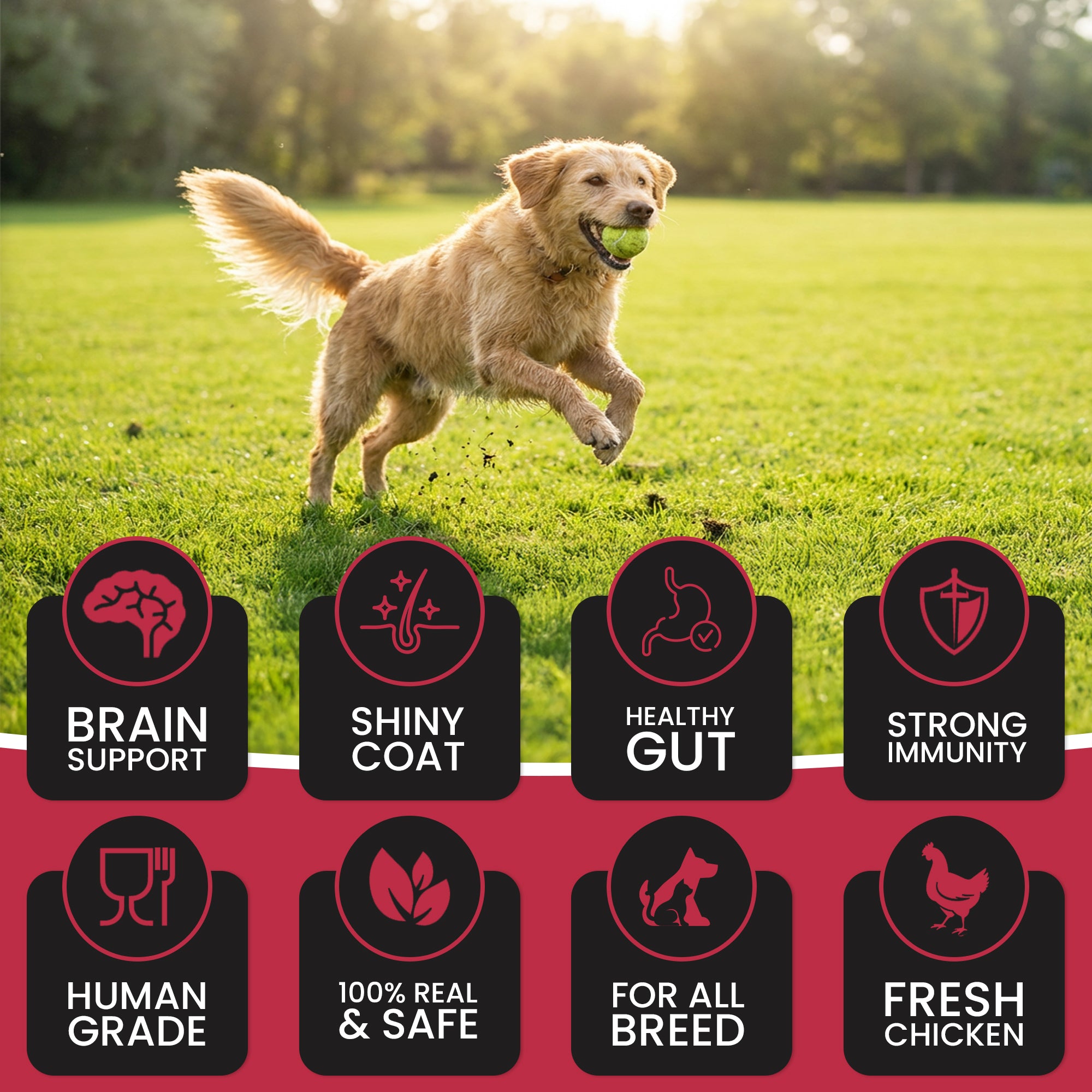 DR. PETS TREETOS CHICKEN POMEGRANATE