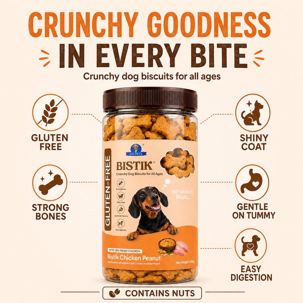 DR. PETS BISTIK BISCUIT CHICKEN PEANUT