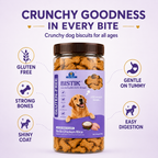 DR. PETS BISTIK BISCUIT CHICKEN RICE