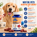 Dr. Pets Daily Chews Heartful Gut (Pack of 2)