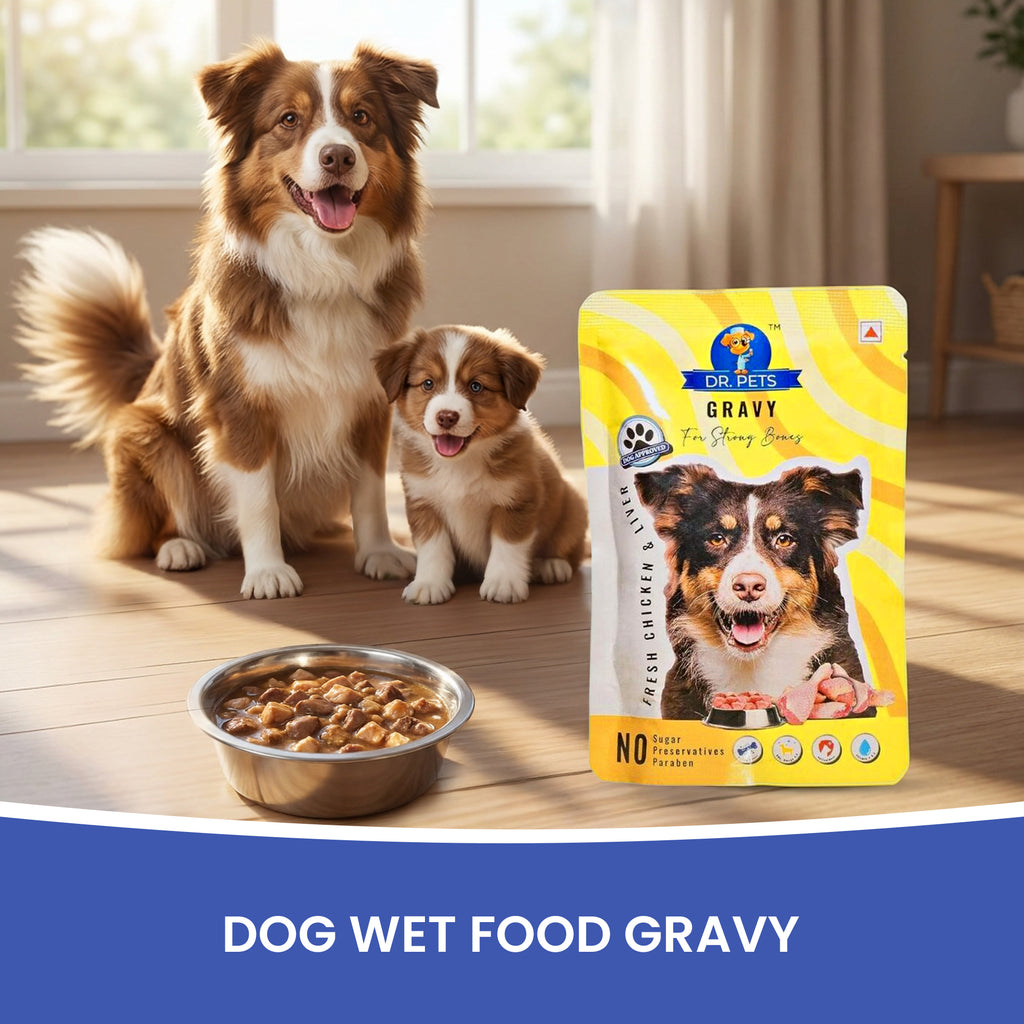 DR. PETS CHUNKS & GRAVY FRESH CHICKEN & LIVER