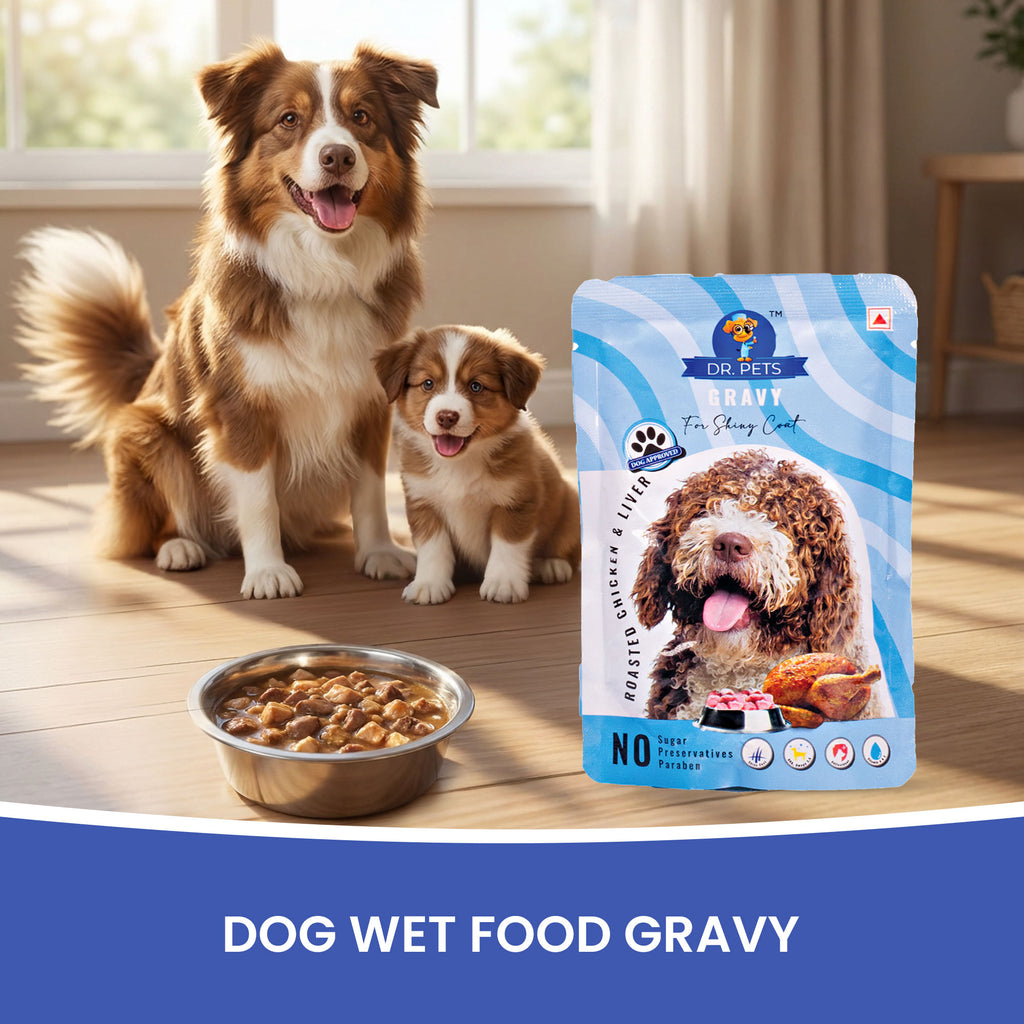 DR. PETS CHUNKS & GRAVY ROASTED CHICKEN & LIVER