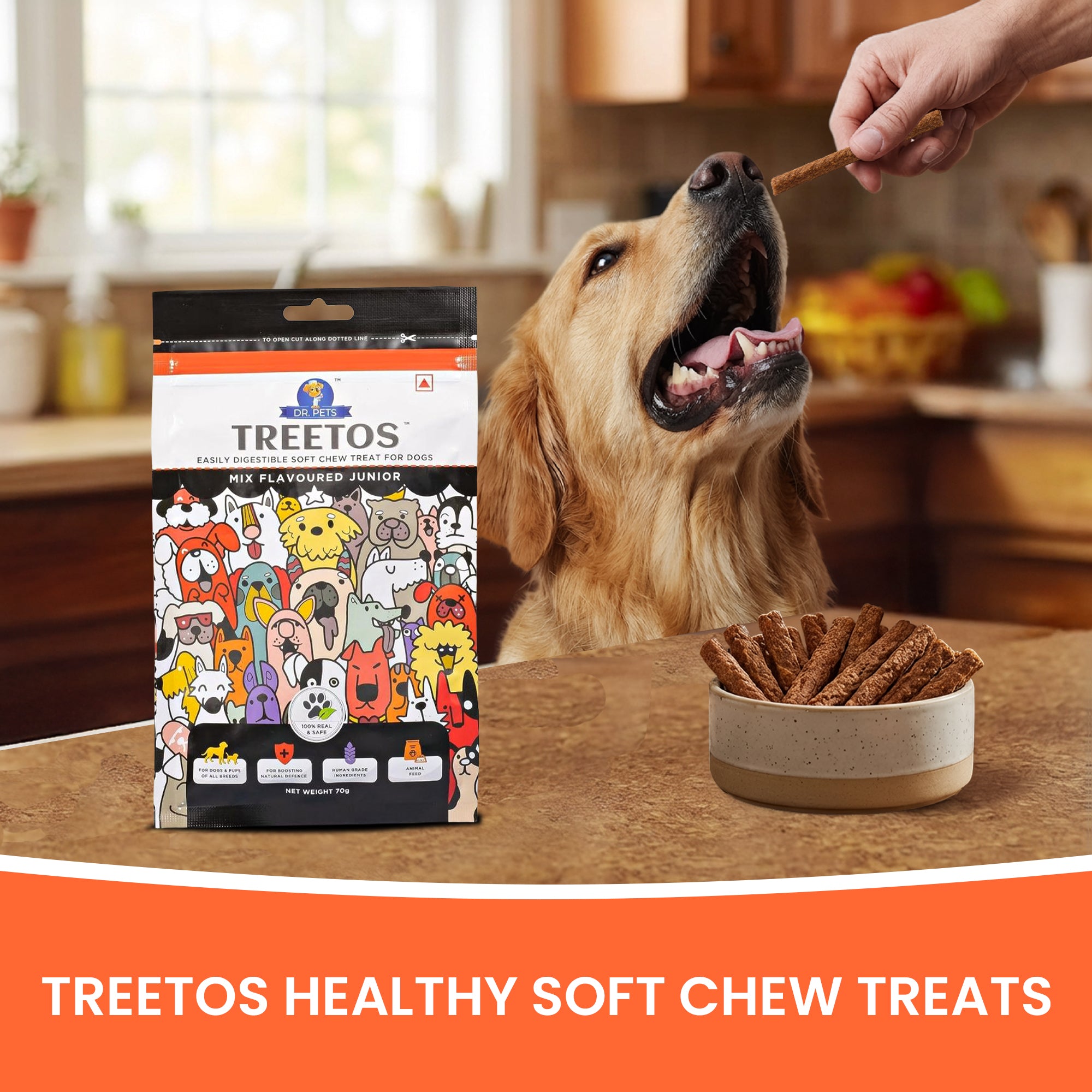 DR. PETS TREETOS MIX FLAVOUR