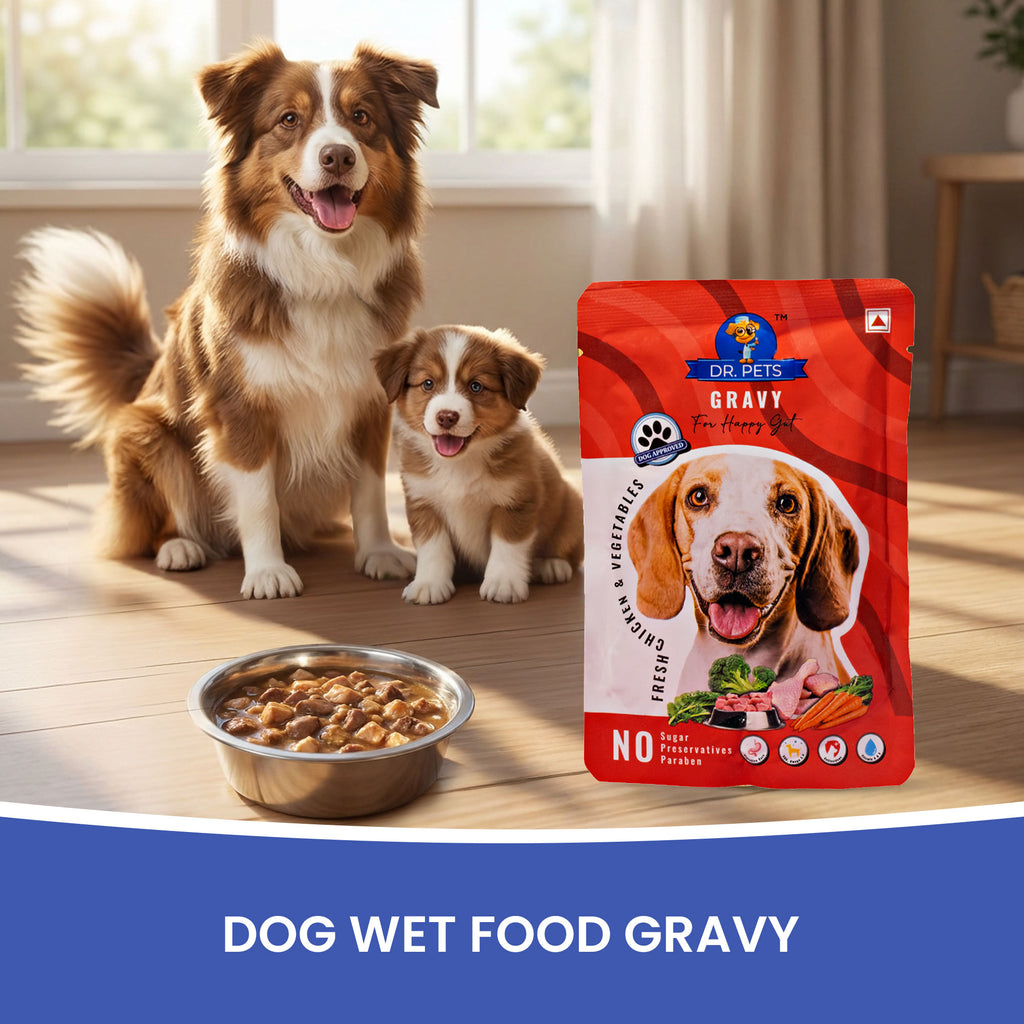 DR. PETS CHUNKS & GRAVY FRESH CHICKEN & VEGITABLE