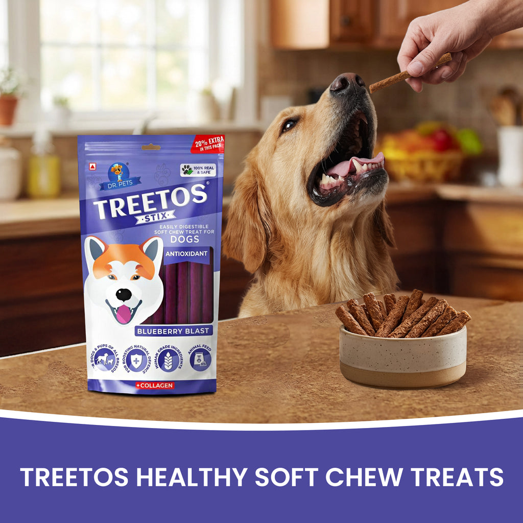 DR. PETS TREETOS BLUEBERRY BLAST