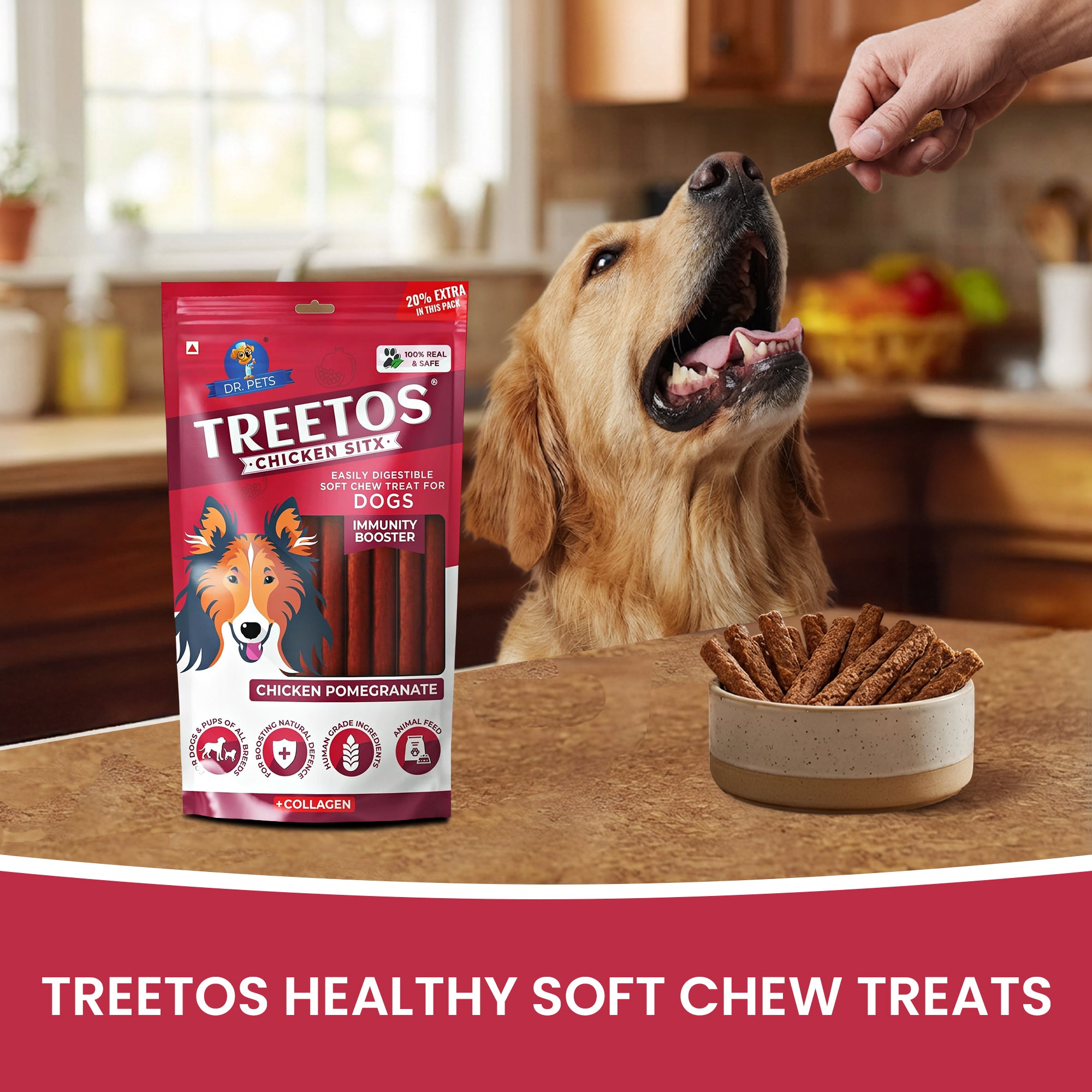 DR. PETS TREETOS CHICKEN POMEGRANATE