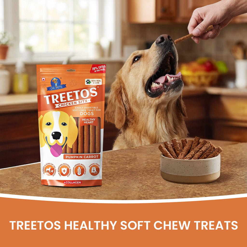 DR. PETS TREETOS PUMPKIN CARROT