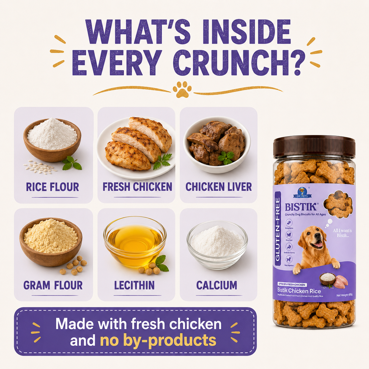 DR. PETS BISTIK BISCUIT CHICKEN RICE
