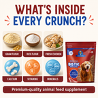DR. PETS BISTIK BISCUIT REAL CHICKEN