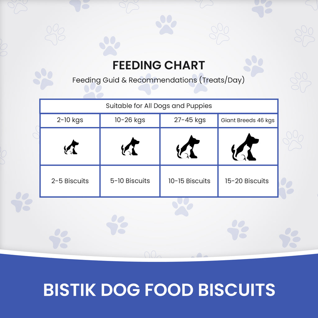 DR. PETS BISTIK BISCUIT WCH OATS