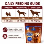 DR. PETS BISTIK BISCUIT BANANA OATS