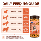 DR. PETS BISTIK BISCUIT CHICKEN LIVER
