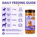 DR. PETS BISTIK BISCUIT CHICKEN RICE
