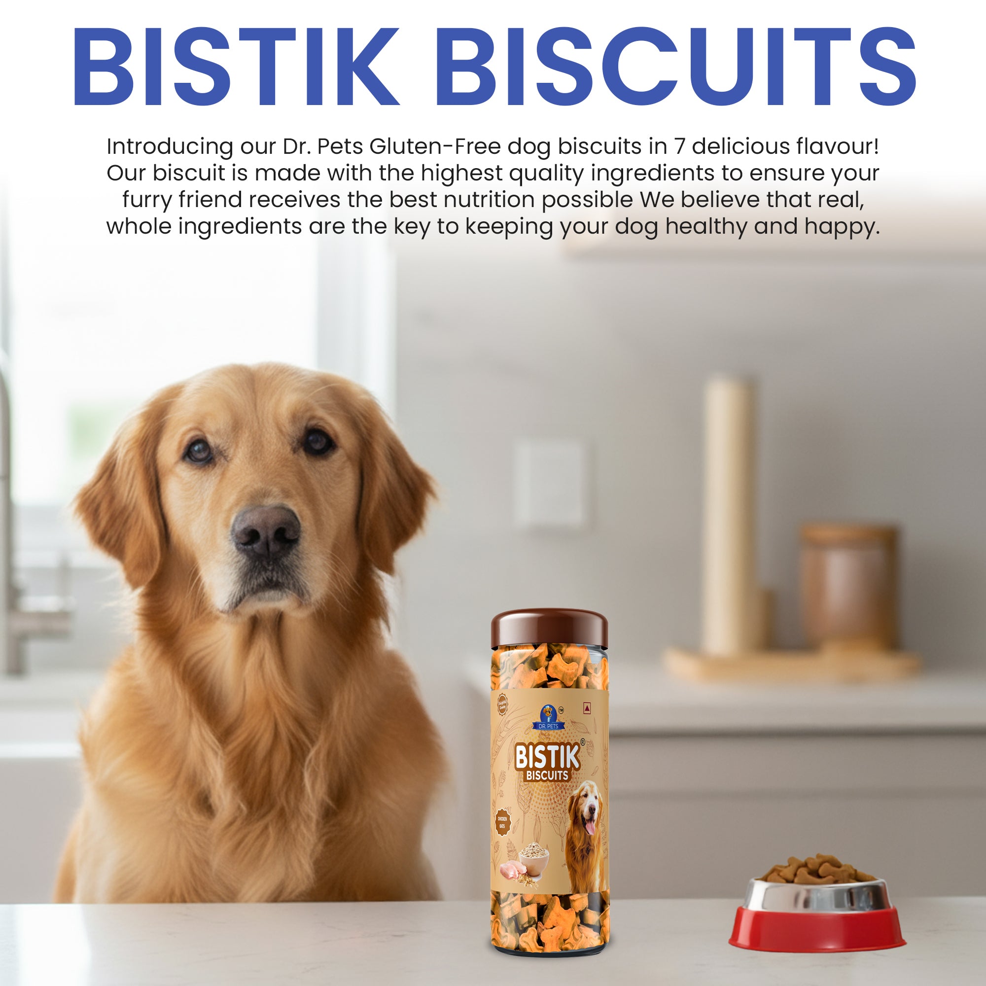 DR. PETS BISTIK BISCUIT WCH OATS