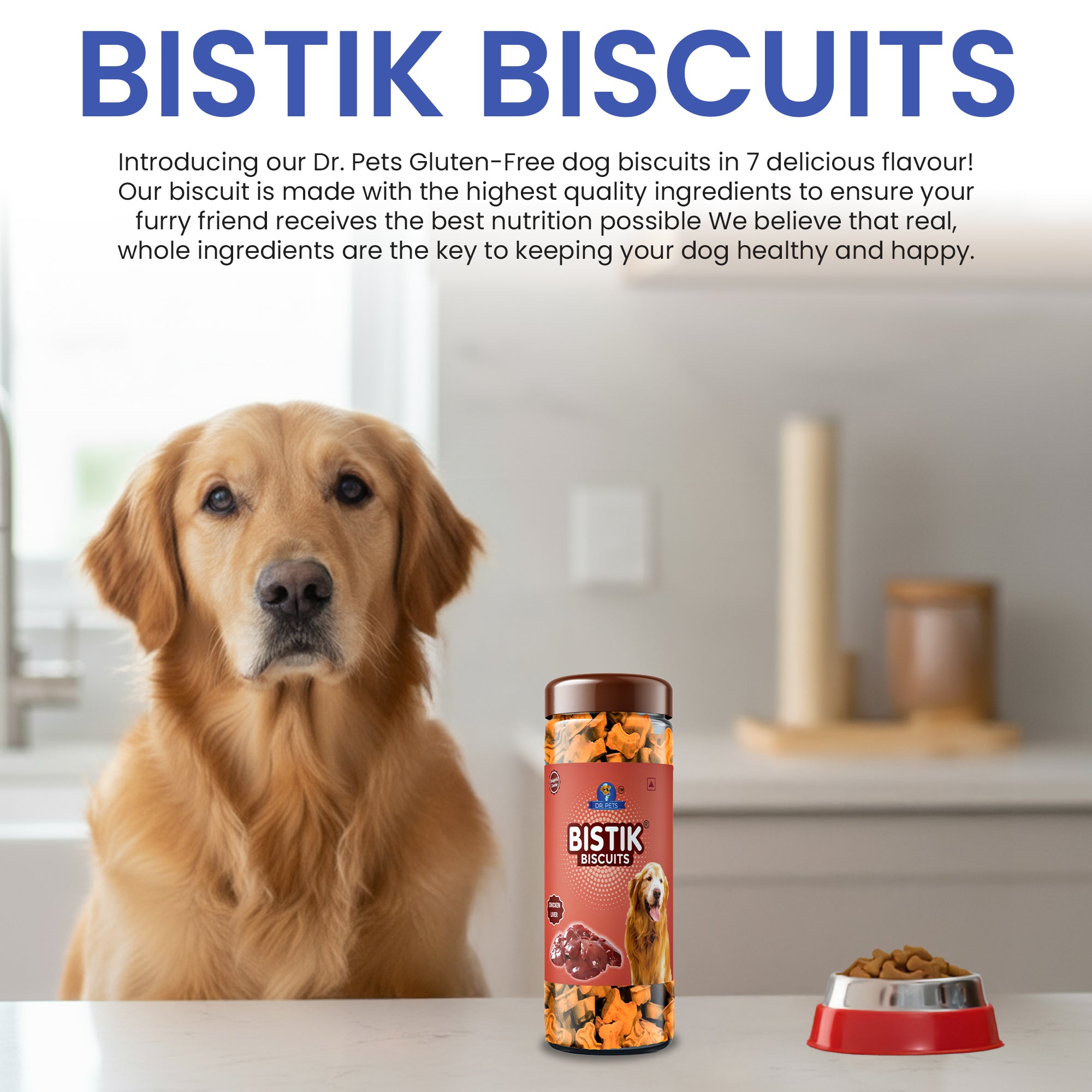 DR. PETS BISTIK BISCUIT WCH LIVER