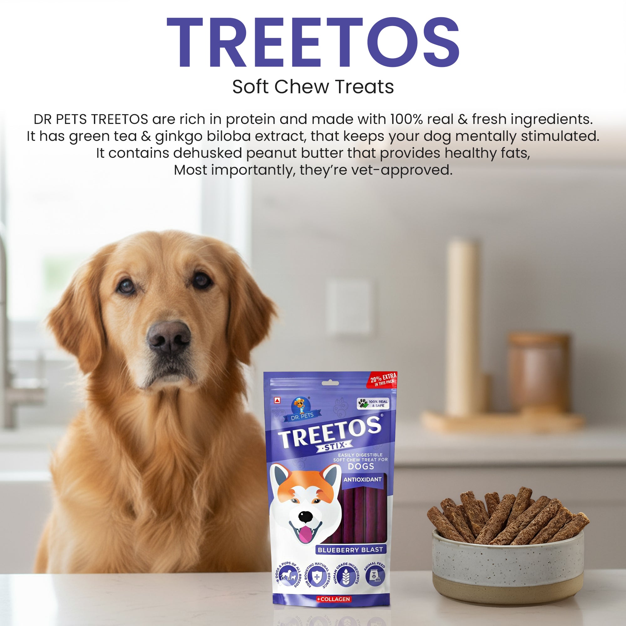 DR. PETS TREETOS BLUEBERRY BLAST