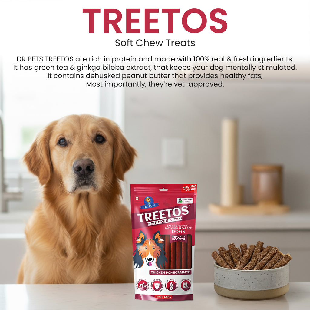 DR. PETS TREETOS CHICKEN POMEGRANATE