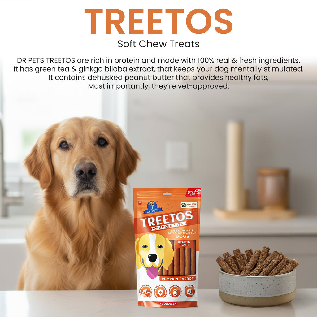 DR. PETS TREETOS PUMPKIN CARROT