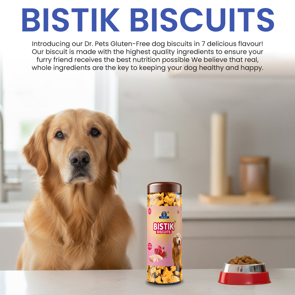 DR. PETS BISTIK BISCUIT WCH POMEGRANTE