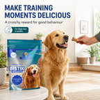 DR. PETS BISTIK BISCUIT CHICKEN LIVER