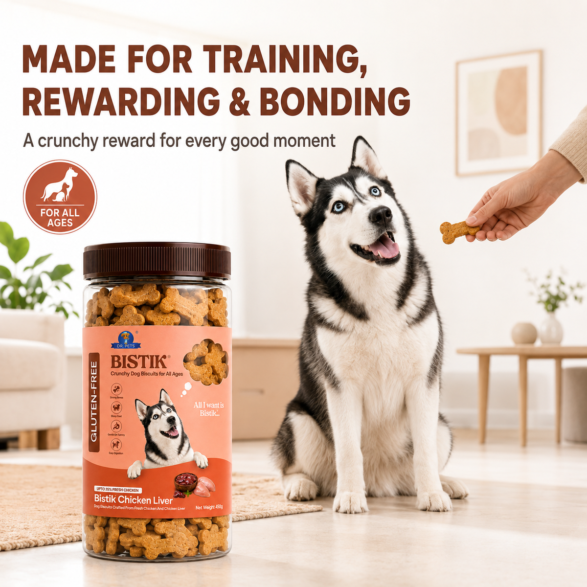 DR. PETS BISTIK BISCUIT CHICKEN LIVER